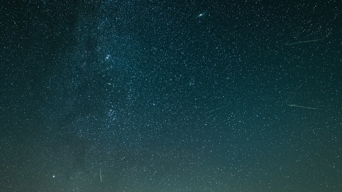 The starry sky above the treeline at the Moyémont orientation table, on the night of the Perseids
