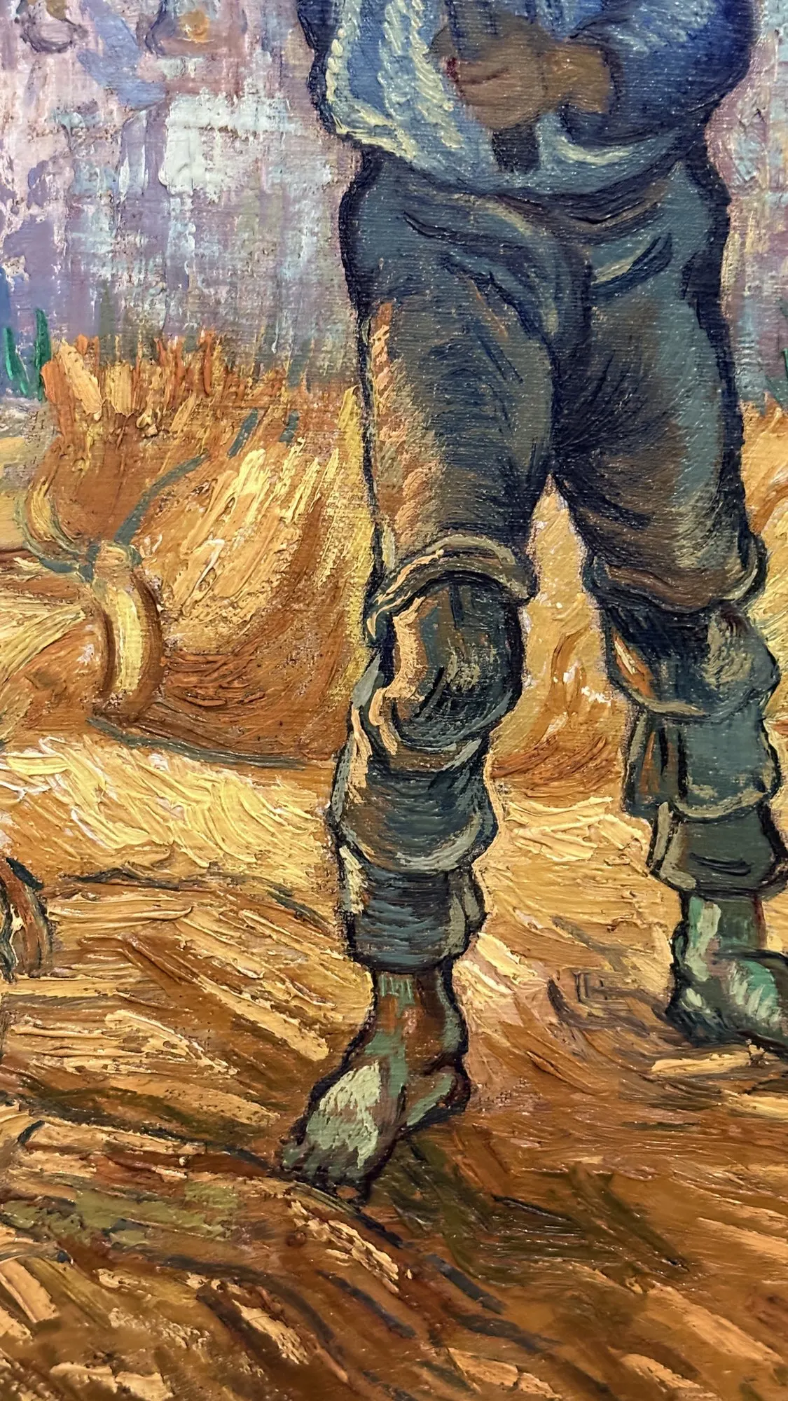 Jambes d'un lieur de gerbes en pantalon bleu au milieu des blés coupés