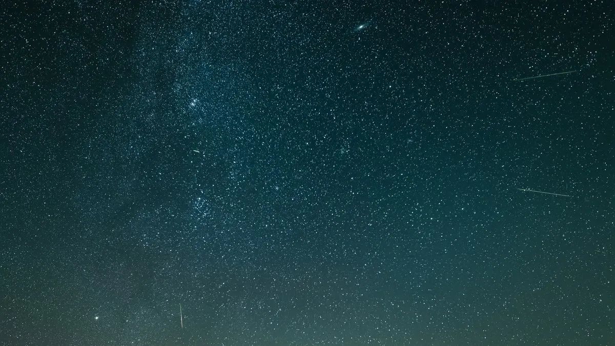 Le ciel étoilé au-dessus de la ligne d'arbres, à la table d'orientation de Moyémont, nuit des Perséides
