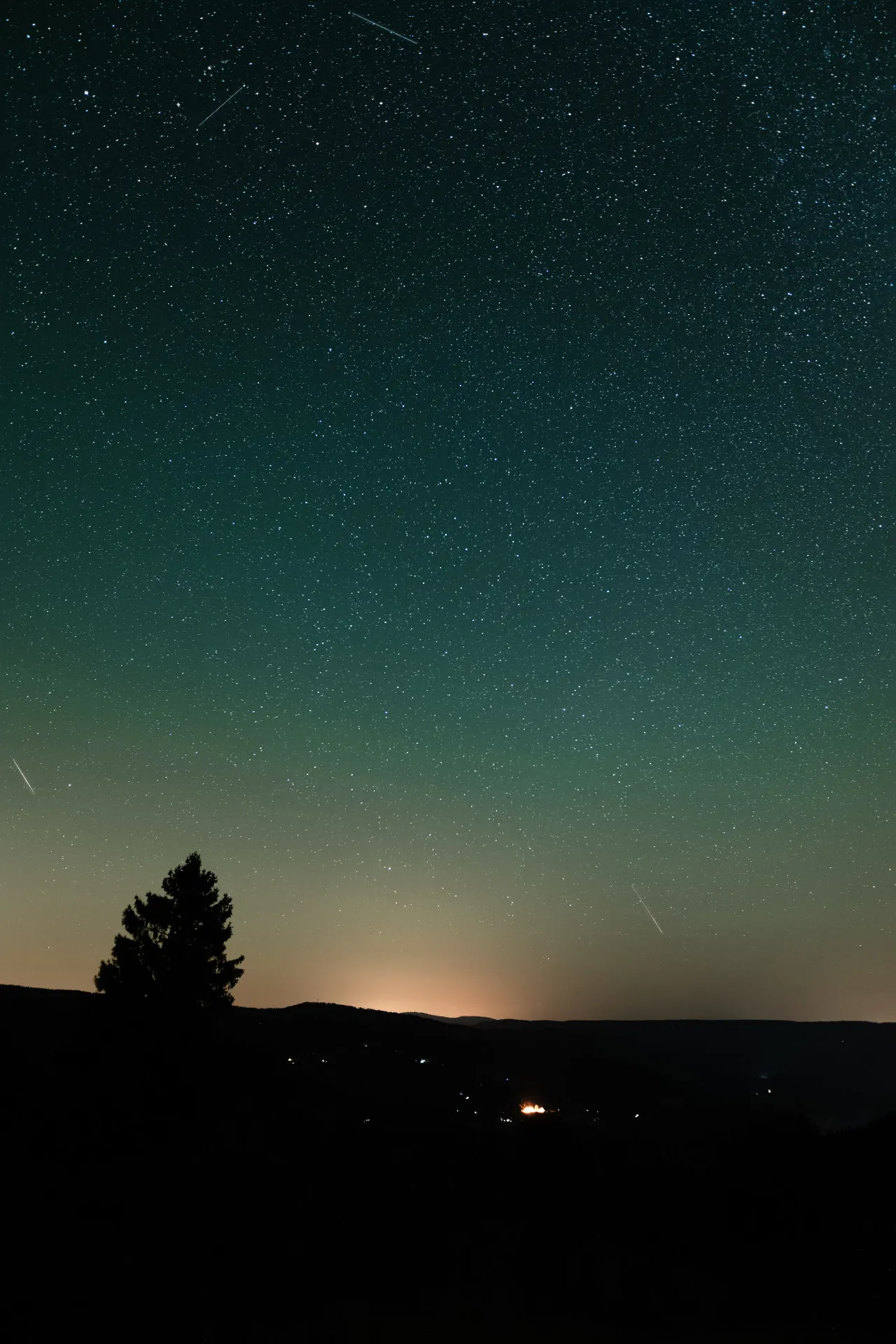 Composite de quatre Perséides au-dessus d'un sapin isolé, Vosges, nuit du 12 au 13 août 2026