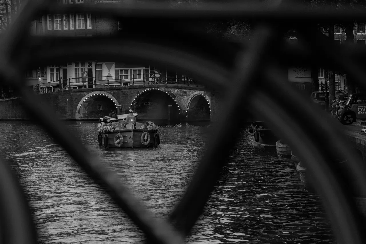 Bateau chargé de fleurs sous un pont de brique éclairé d'ampoules, vu à travers un cadre de vélo, noir et blanc
