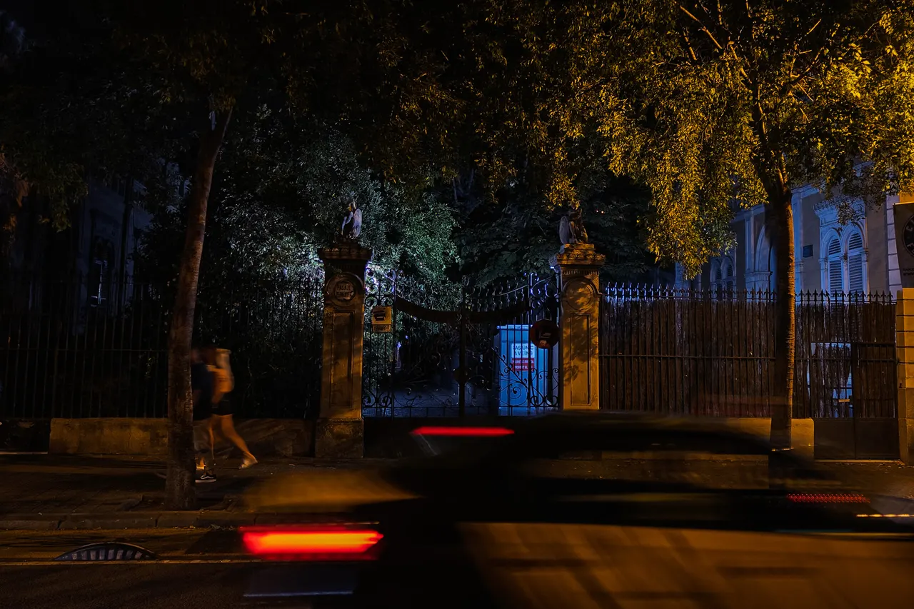 Grille d'un parc la nuit, feux arrière d'une voiture