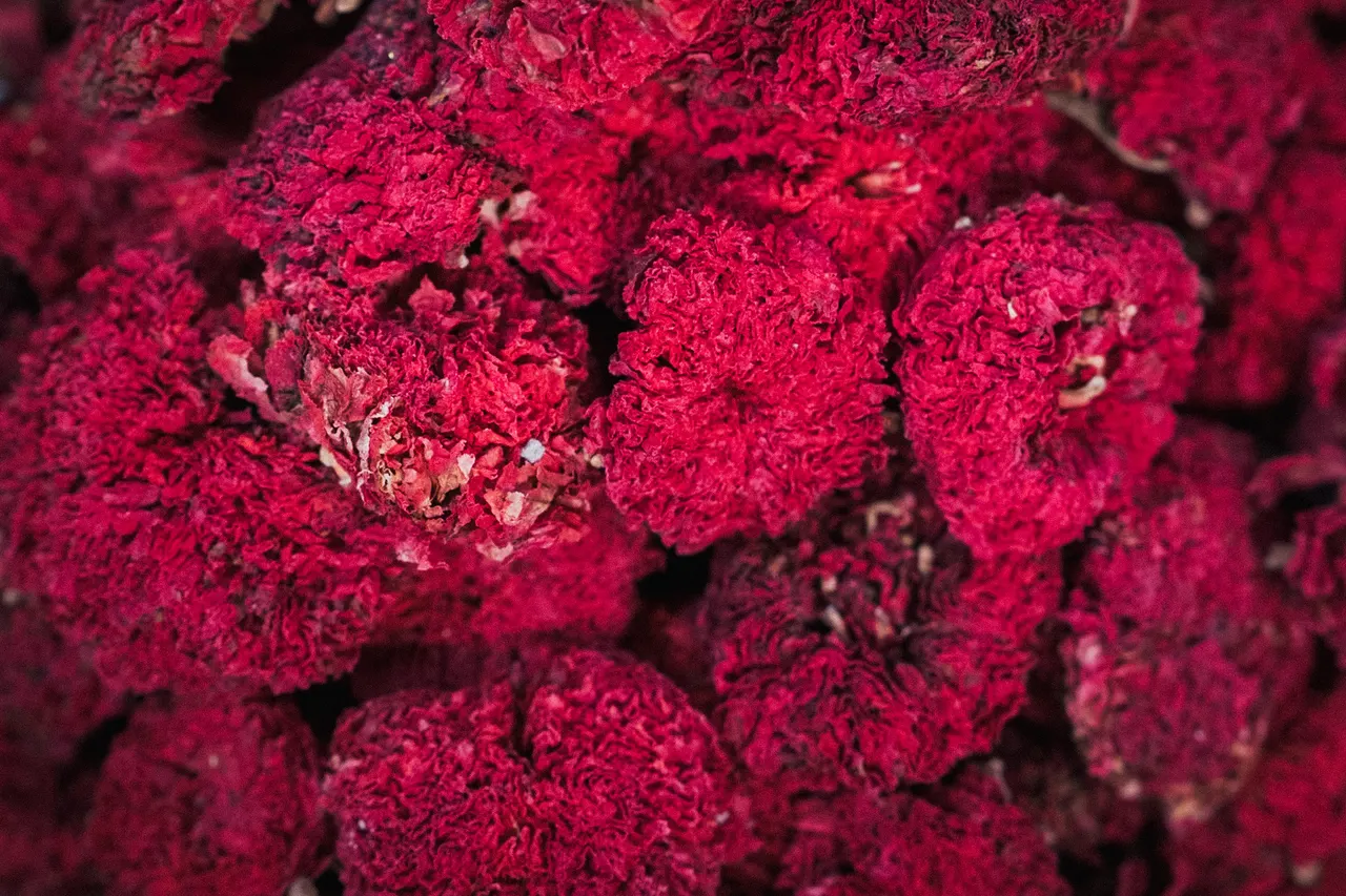 Bright red dried flowers in the spice souk