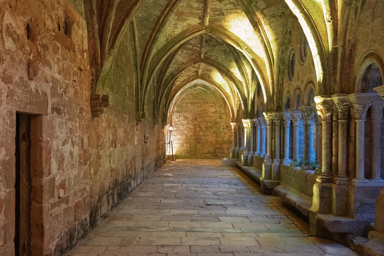 Vaulted cloister gallery with Gothic colonnettes and grazing natural light, Fontfroide Abbey.