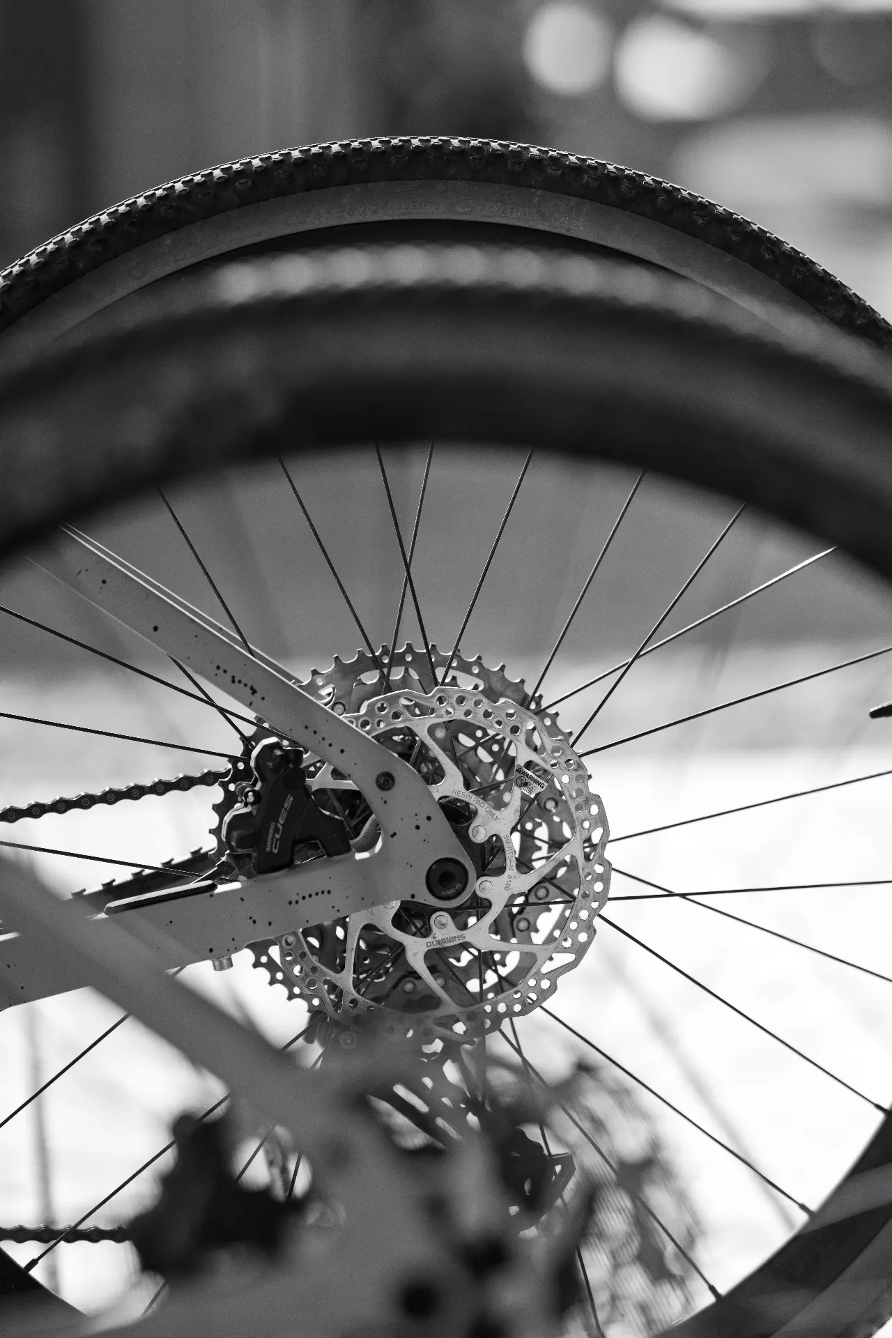 Cycliste roulant sur les pistes des étangs de Gruissan, noir et blanc