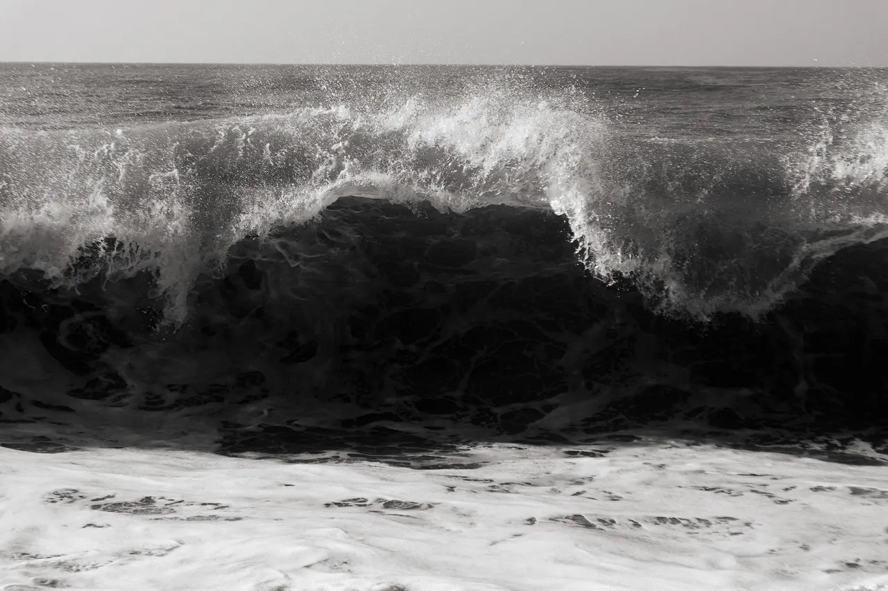 A breaking wave, in black and white